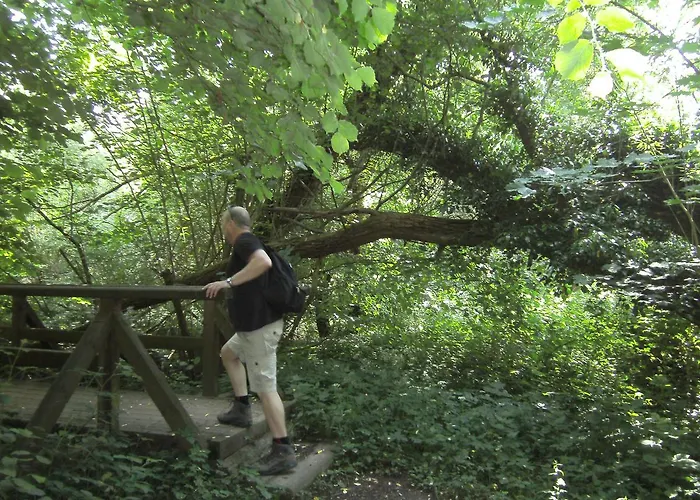 Apartament Rosentraum *