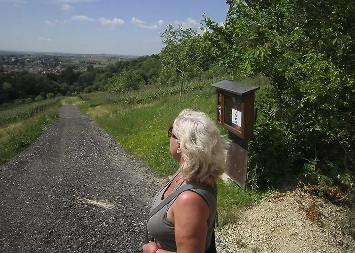 Rosentraum * Oberotterbach